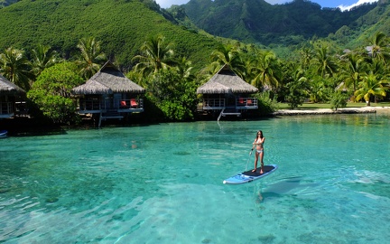 Paddle - Tropical Island