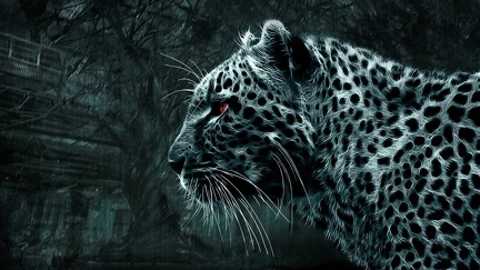 Art design  - leopard