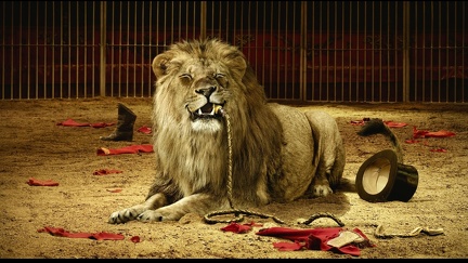 Vengeance du lion - montage photo