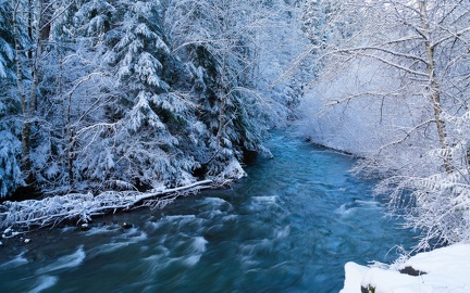 Rivière en hiver