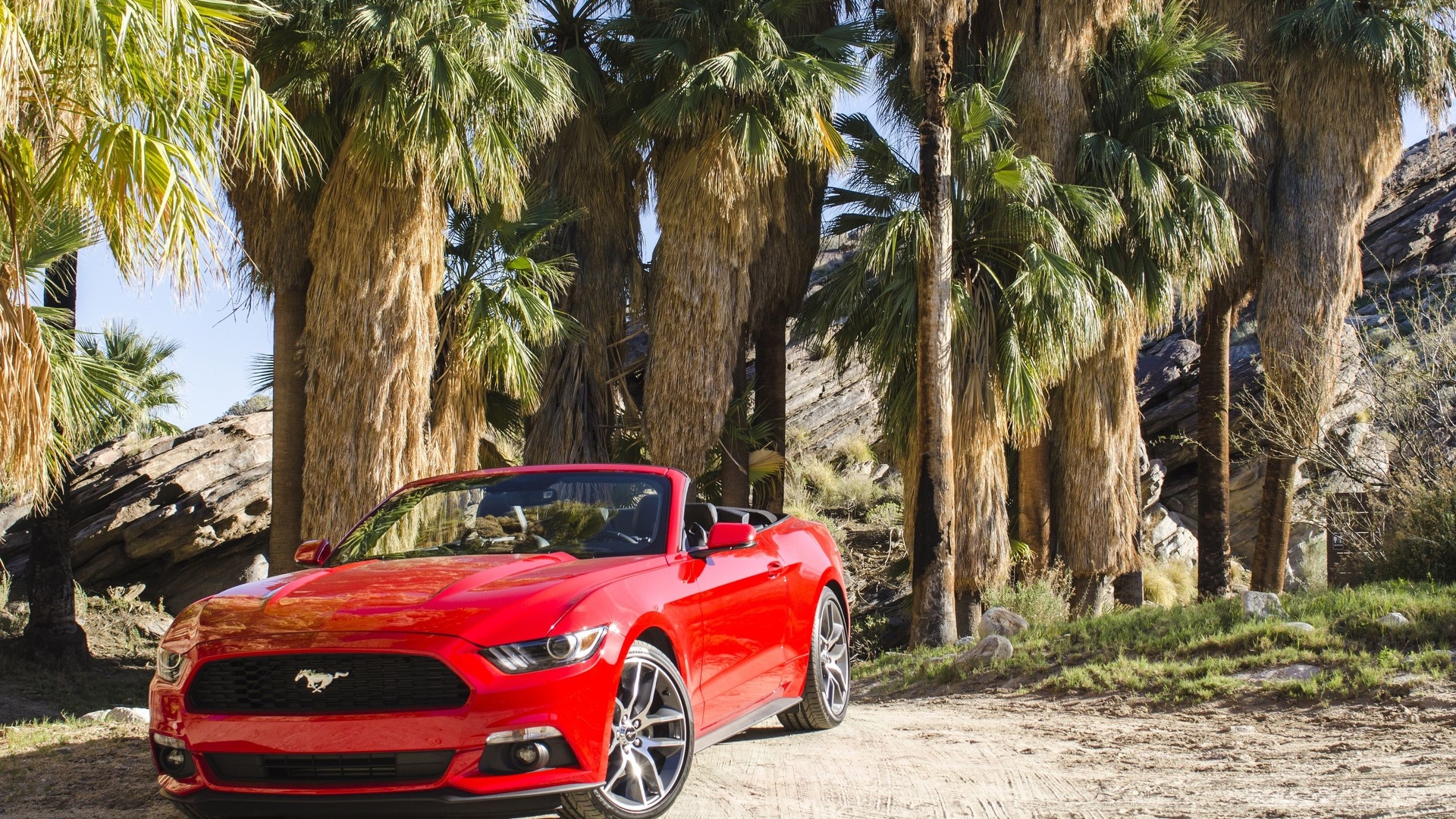 Ford Mustang - fond d'écran.jpg