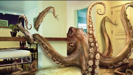 Photo Montage - Giant Octopus