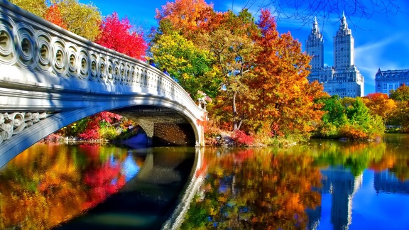 Pont central park New York