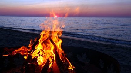 Beach - Firewood