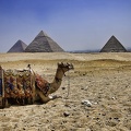 Voyage aux pyramides