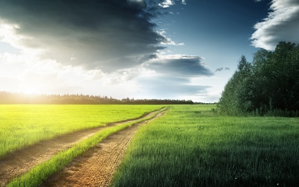 Path in the fields