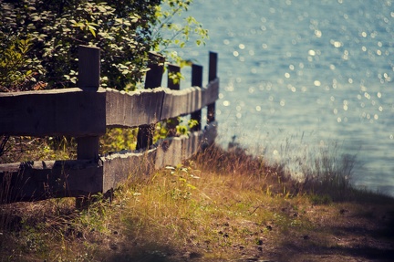 Wooden fence - photography