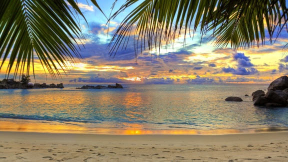 Coucher de soleil - plage tropicale