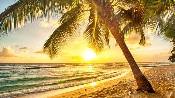 Coucher de soleil plage tropicale