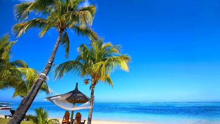 tropical-paradise-beach-palms-7522