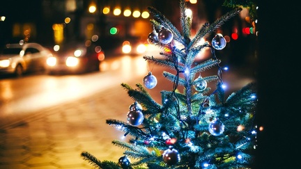 Christmas tree in the street