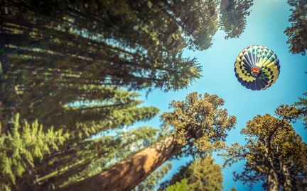 Ballon gonflable au dessus de la forêt - UltraHD