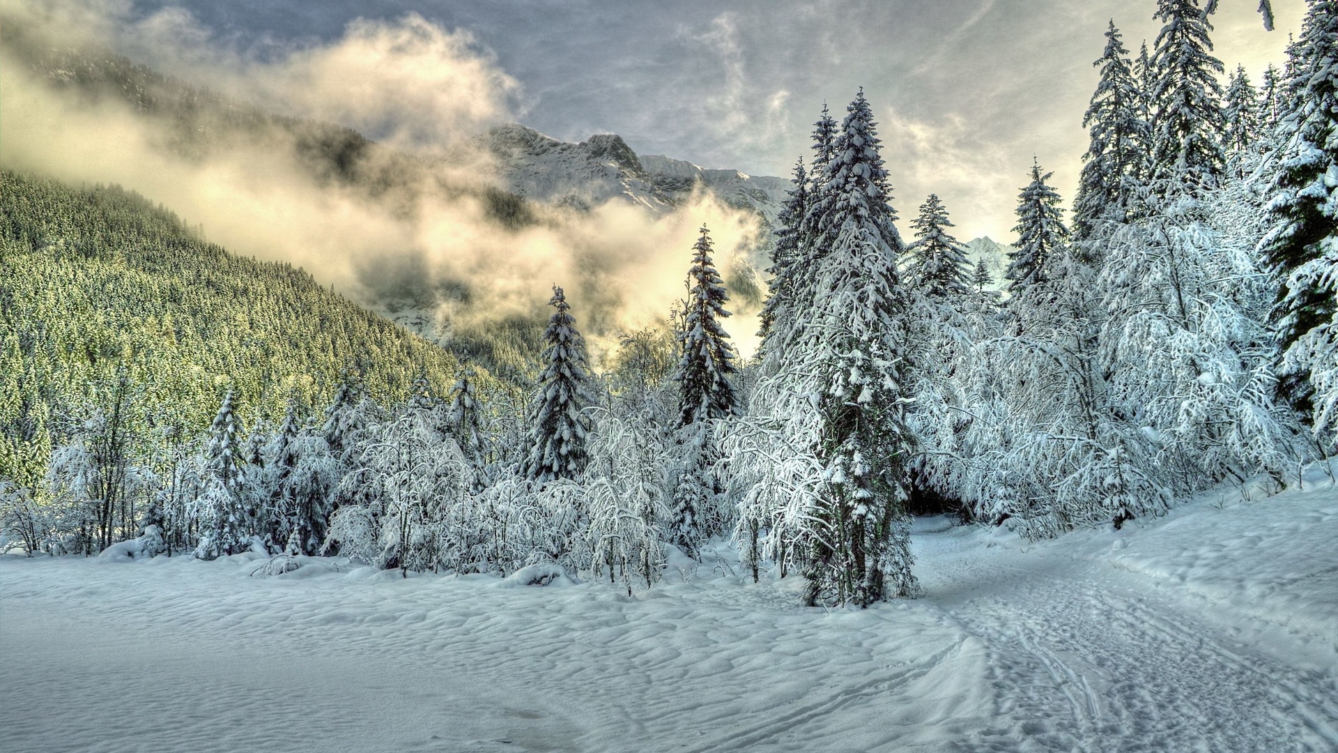 Paysage hiver - Wallpaper HD.jpg