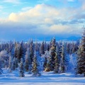 Peinture - Paysage hivernal