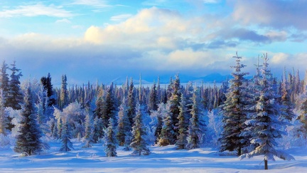 Peinture - Paysage hivernal
