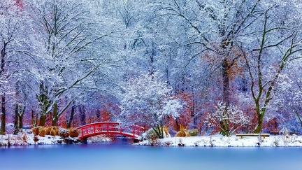 Little bridge in winter