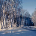 Route en hiver - 1920x1200