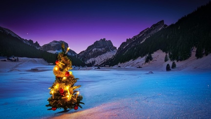 Christmas tree - landscape
