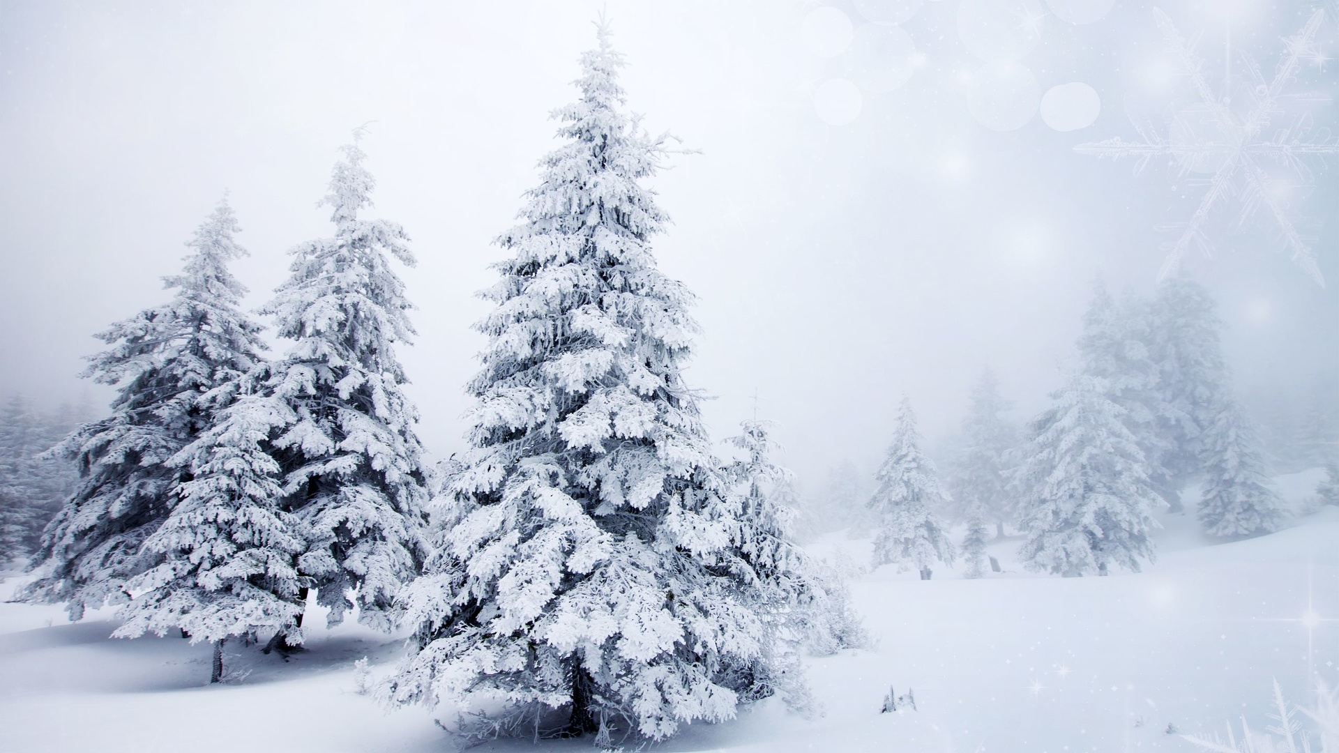 Sous La Neigee Fond D cran HD