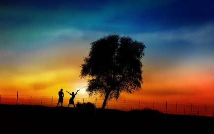Trees - Girlfriends - Sunset - HD