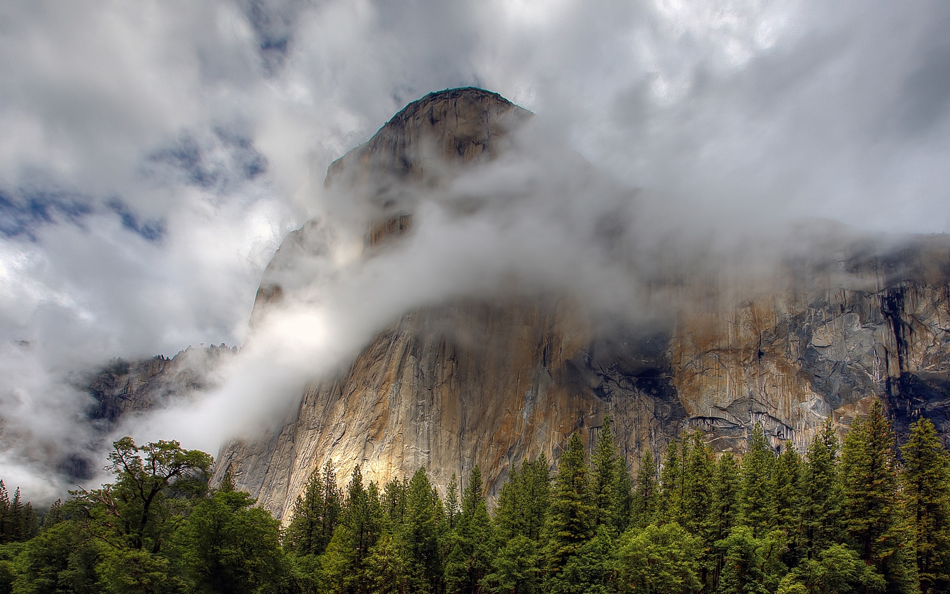 Falaise Yosemite dans les nuages.jpg