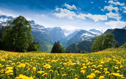 Spring in the Alps