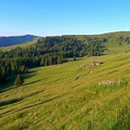 Prairie dans les Alpes