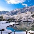Japon - paysage enneigé