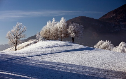 Winter landscape - wallpaper (3)