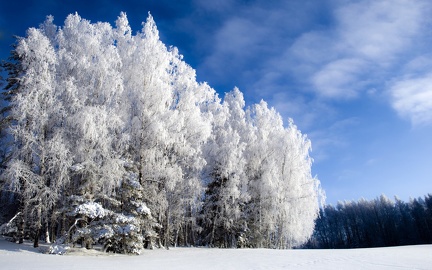 Winter landscape - wallpaper (9)
