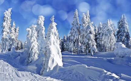 Winter Landscape - wallpaper (15)