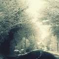 Route en hiver - wallpaper HD