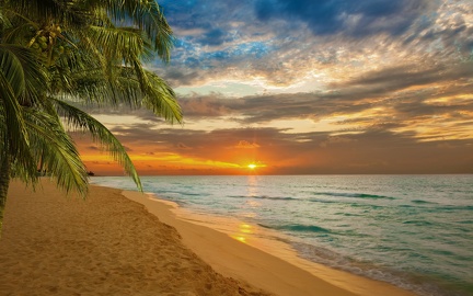 Tropical beach - sunset