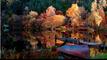 Lake in Autumn (2)