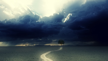 Path - tree - storm