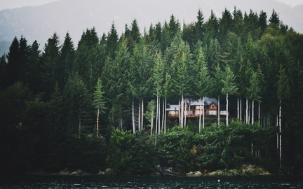 Maison dans la forêt