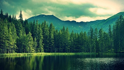 Lac et forêt