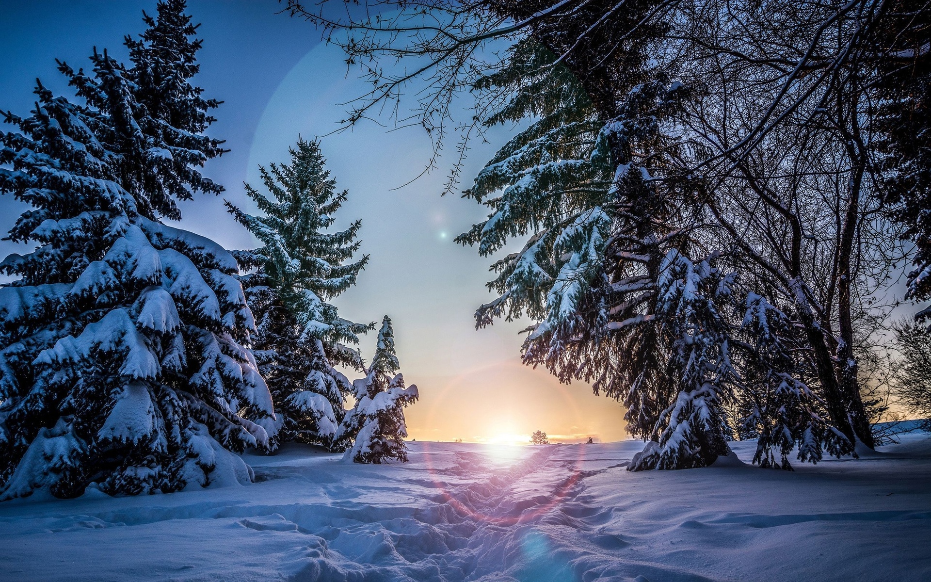 Paysage Nature en hiver  Fond d'écran Ultra HD