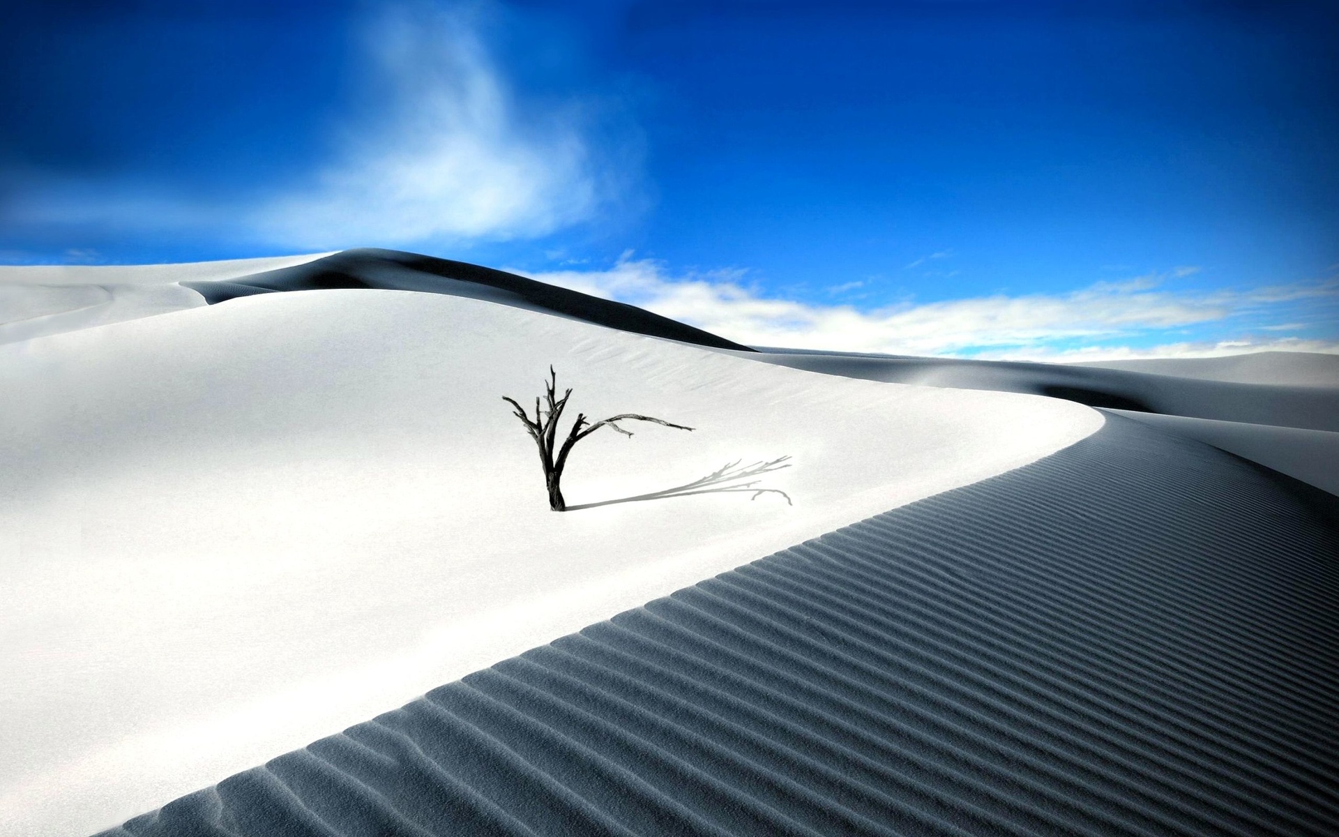 Dunes de sable blanc.jpg