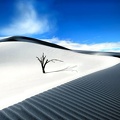 Dunes de sable blanc