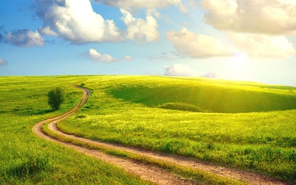 Path in the meadow - Stunning wallpaper