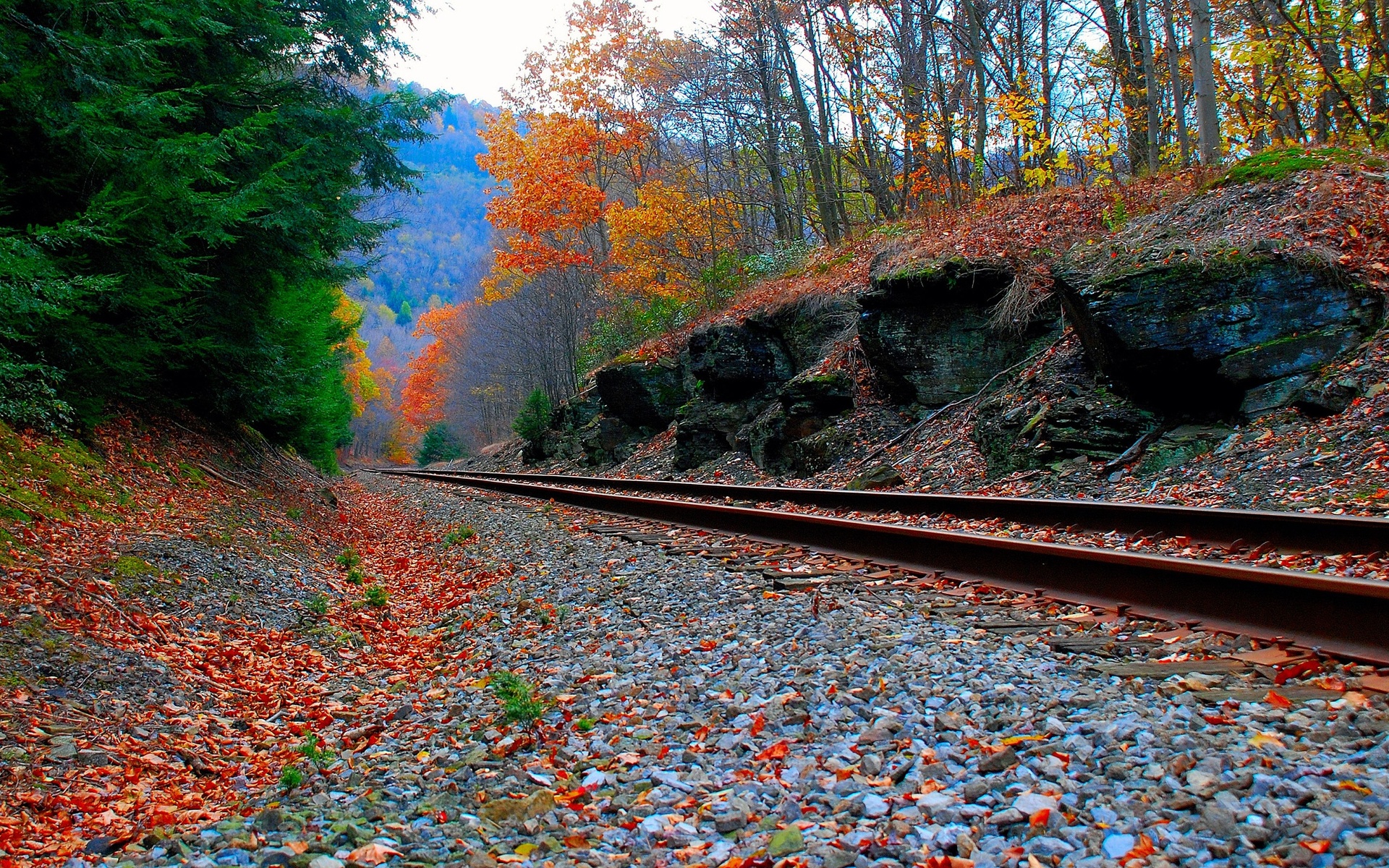 Chemin de fer - Paysage d'automne.jpg