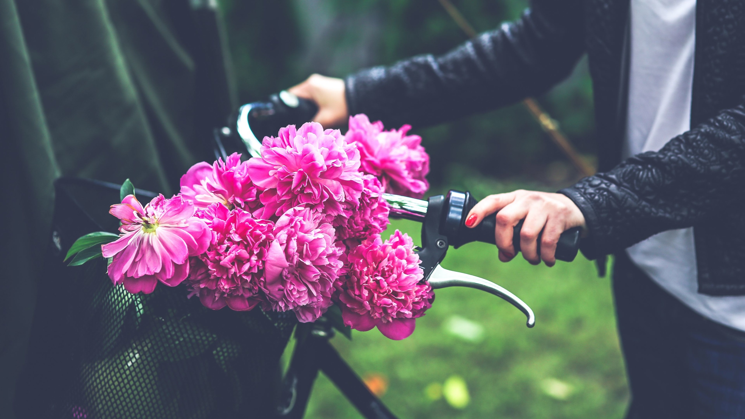 Bouquet de fleur - bicyclette
