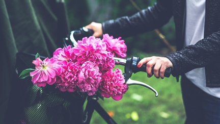 Bouquet de fleur - bicyclette
