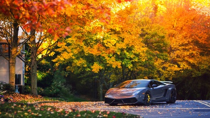 Lamborghini - arbres automne