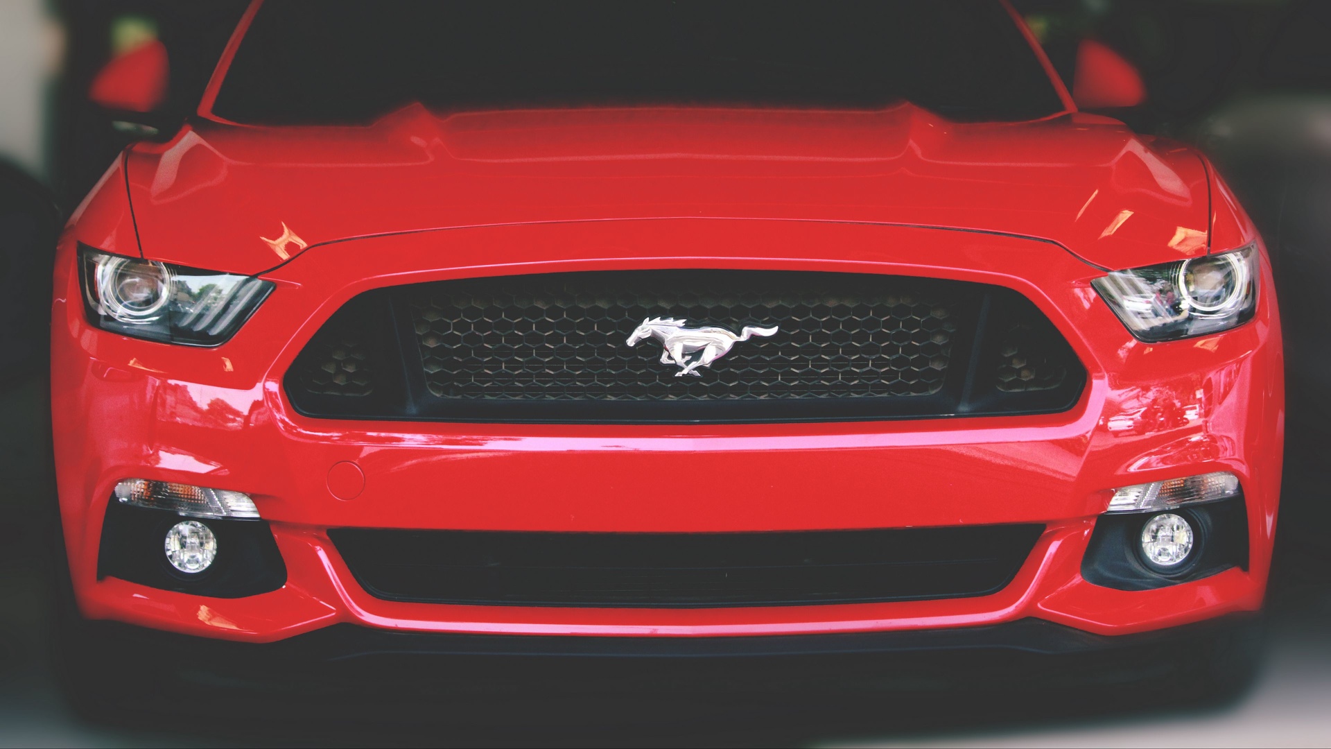 Ford Mustang - calandre.jpg