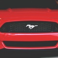 Ford Mustang - calandre