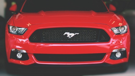 Ford Mustang - calandre