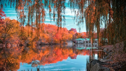 Lac à central parc - New York
