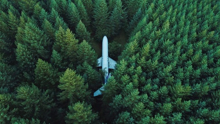 Avion au milieu de la forêt